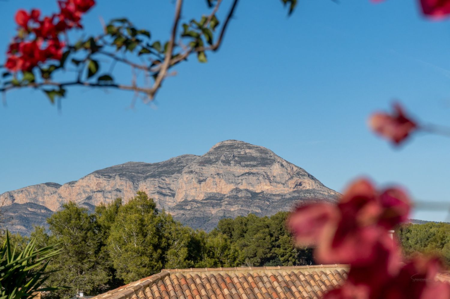 Uitzicht op Montgó berg