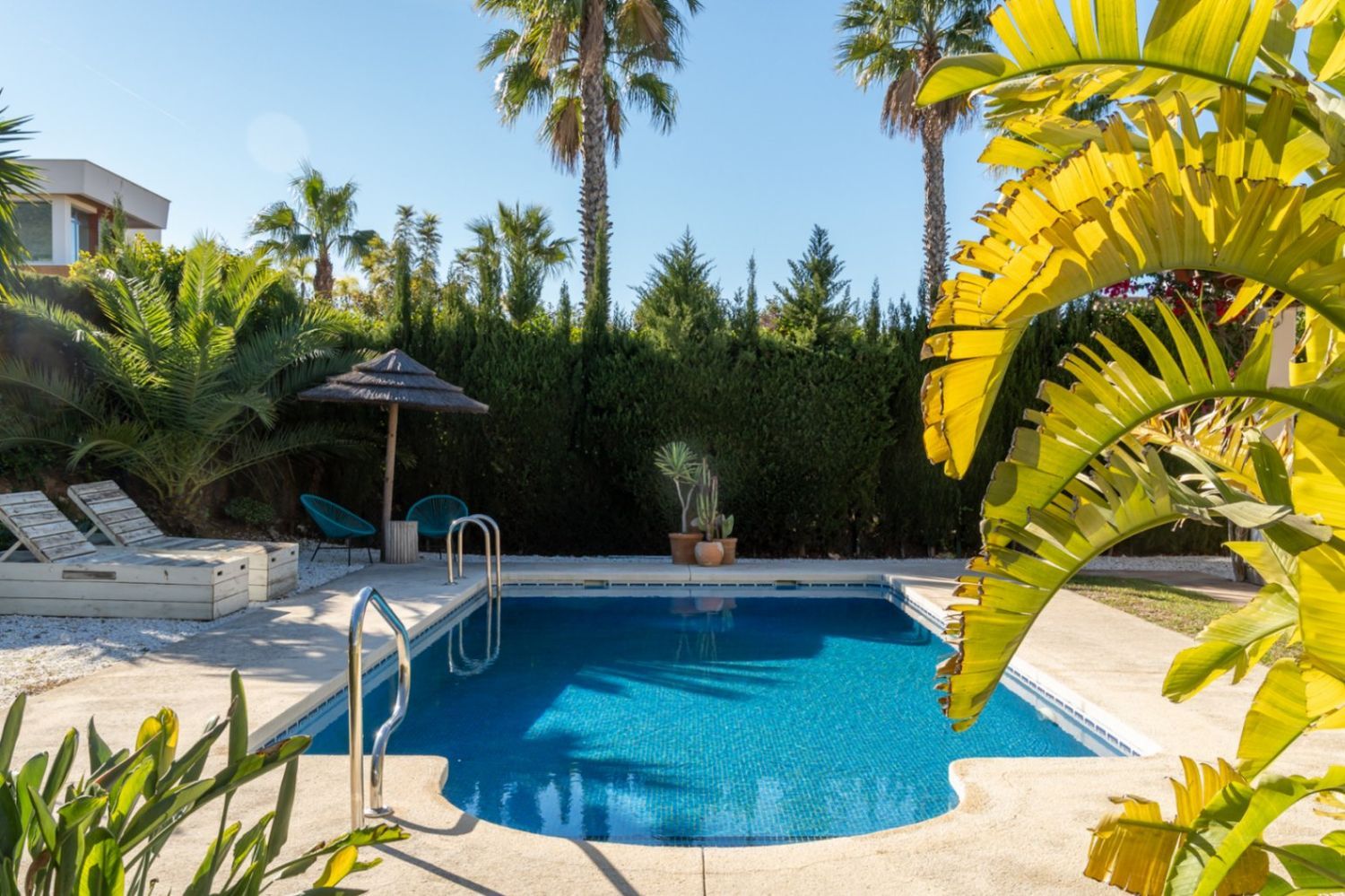 Zwembad met ligbedden